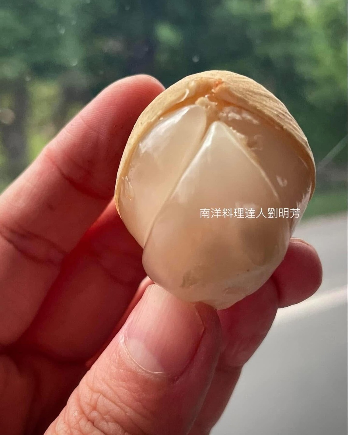 泰國人所說的龍宮是何種水果？口感如何呢？