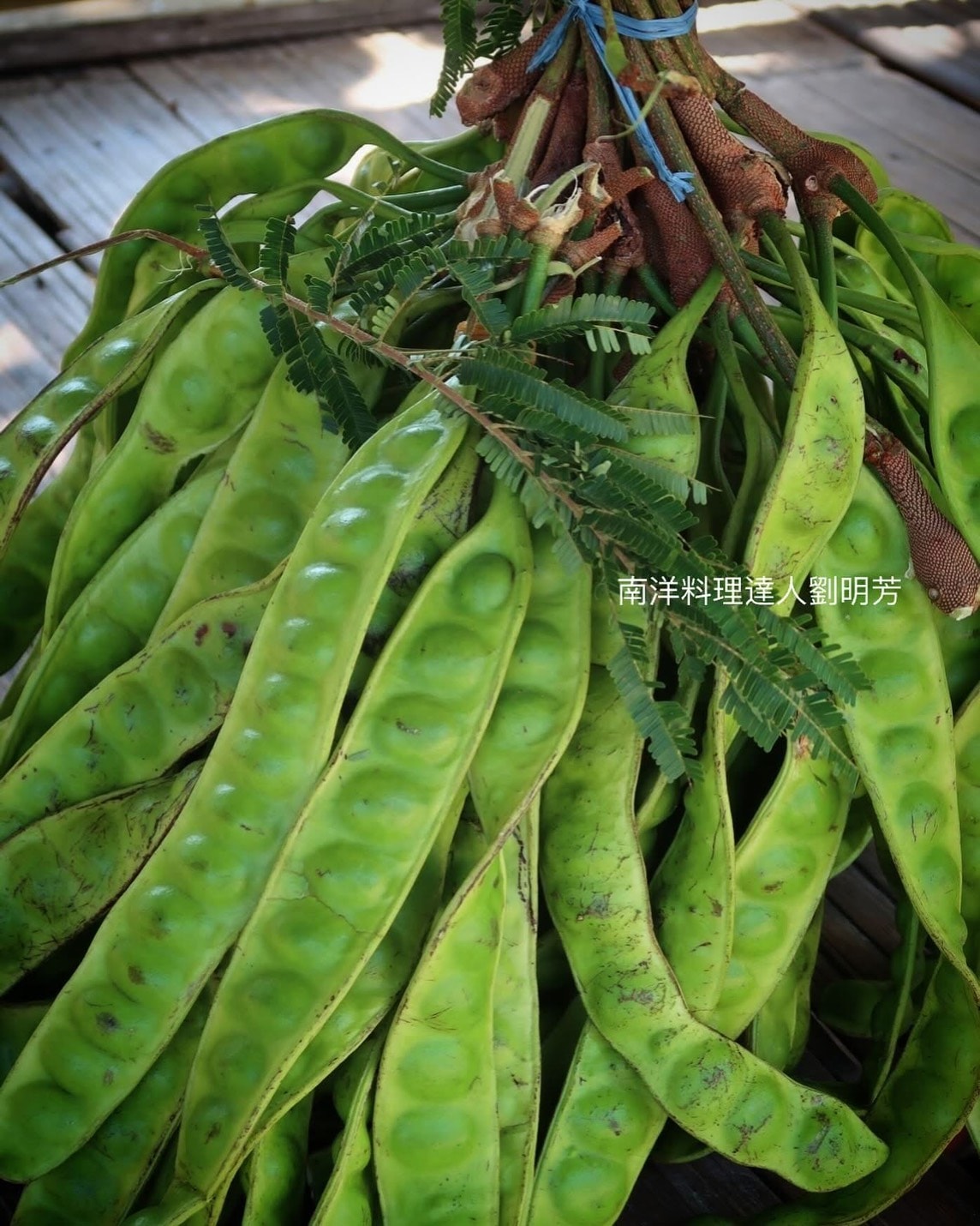 臭豆、大臭豆,不同嗎? - 第2張圖 臭豆、大臭豆,不同嗎?
