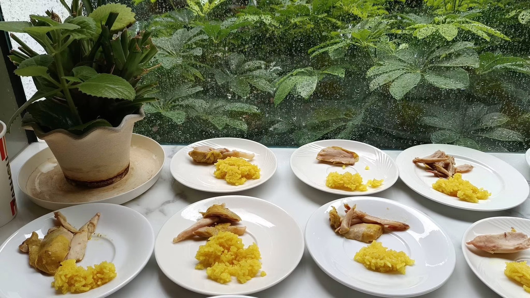 薑黃除煮咖哩,還有哪些用途呢? - 第3張圖 薑黃除煮咖哩,還有哪些用途呢?